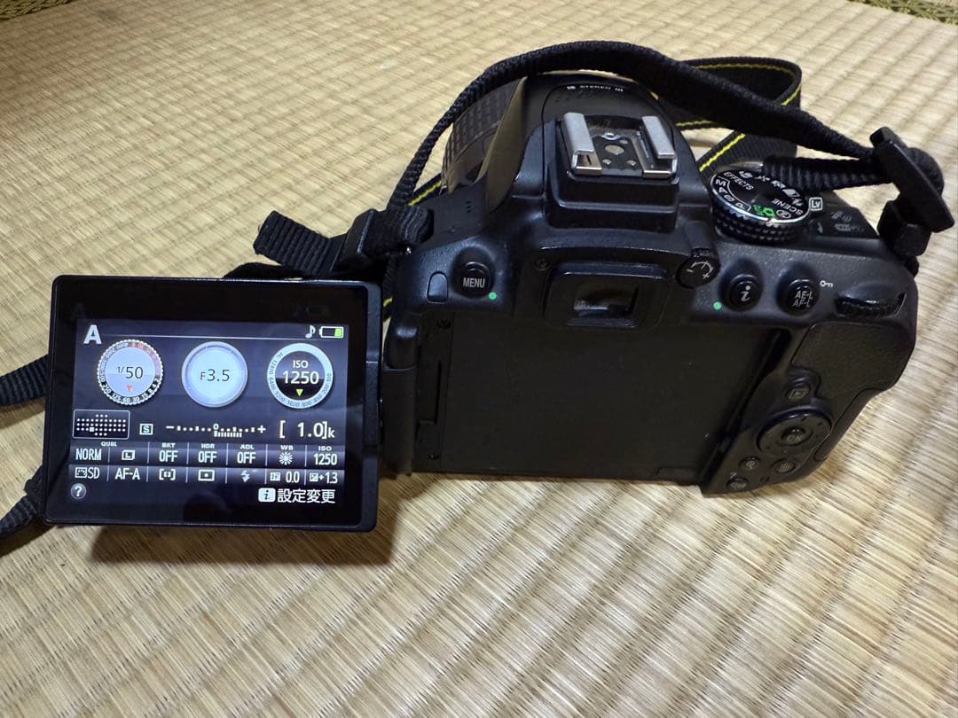 NikonD5300ダブルズームキット