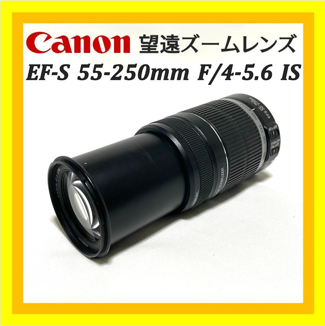 遠くを大きく写せる❣️ Canon EF-S 55-250mm 望遠ズームレンズ