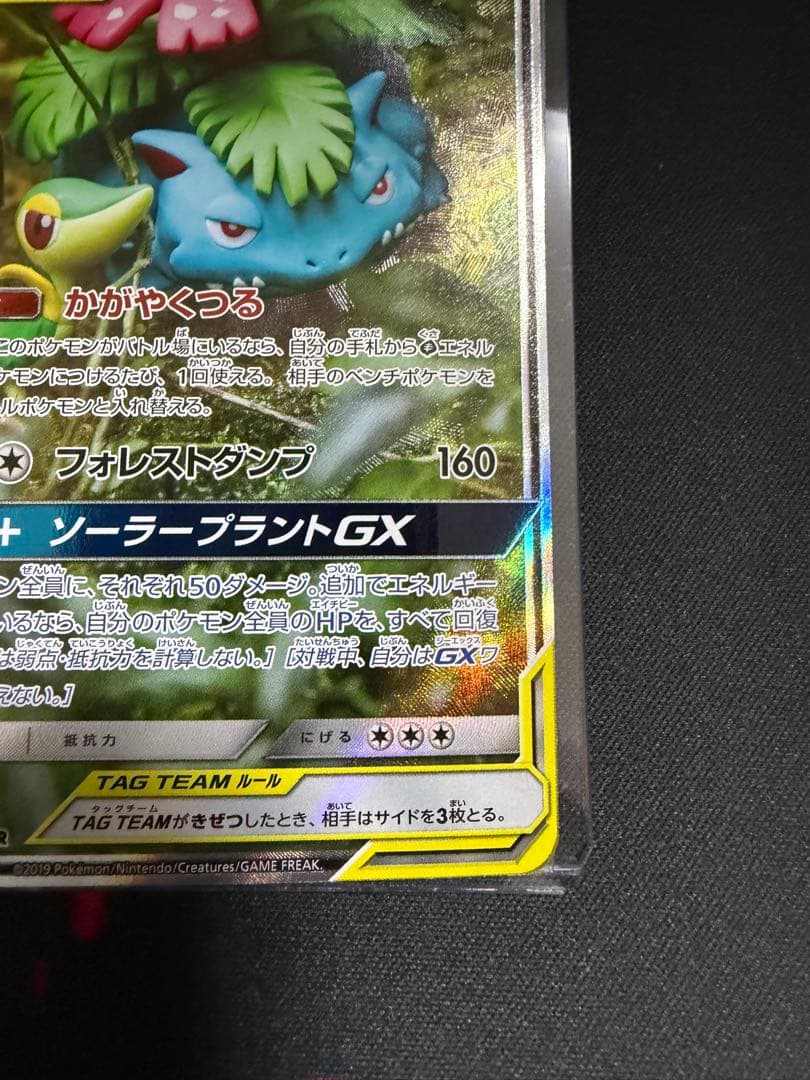 フシギバナ＆ツタージャ GX TAG TEAM SR 066/064 SA