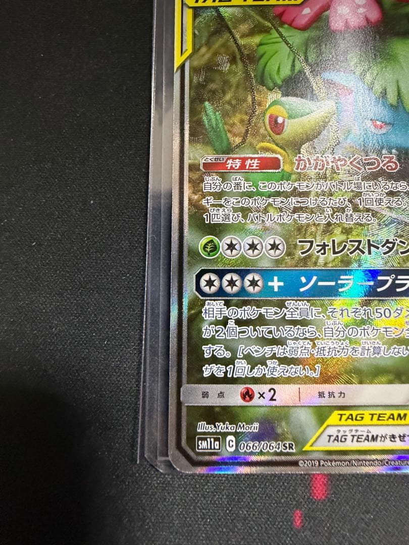 フシギバナ＆ツタージャ GX TAG TEAM SR 066/064 SA