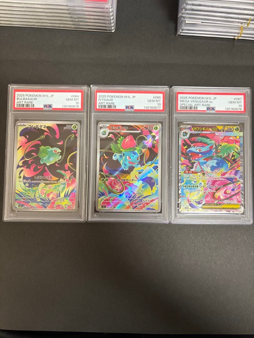 【⭐️PSA10 連番⭐️】メガフシギバナ進化系