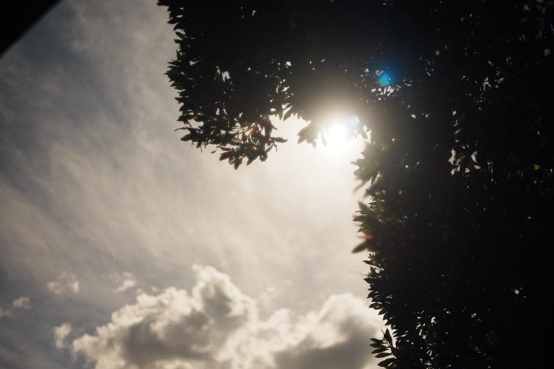 泡のようなボケで日常に彩り FUJINON 55mm F2.2 666