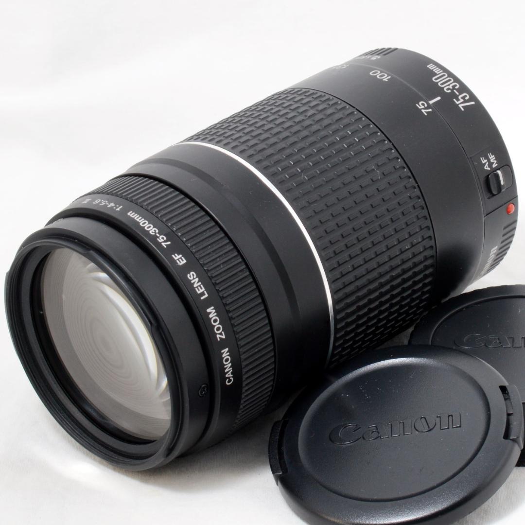 ⭐️良品⭐️Canon キャノン EF 75-300mm F4-5.6 Ⅲ
