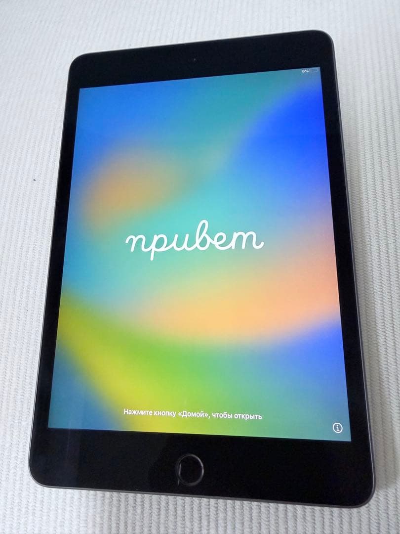 Apple iPad mini 5 本体