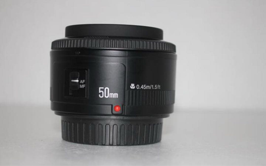 ボケ味が魅力　単焦点レンズ　YONGNUO 50㎜ F1.8