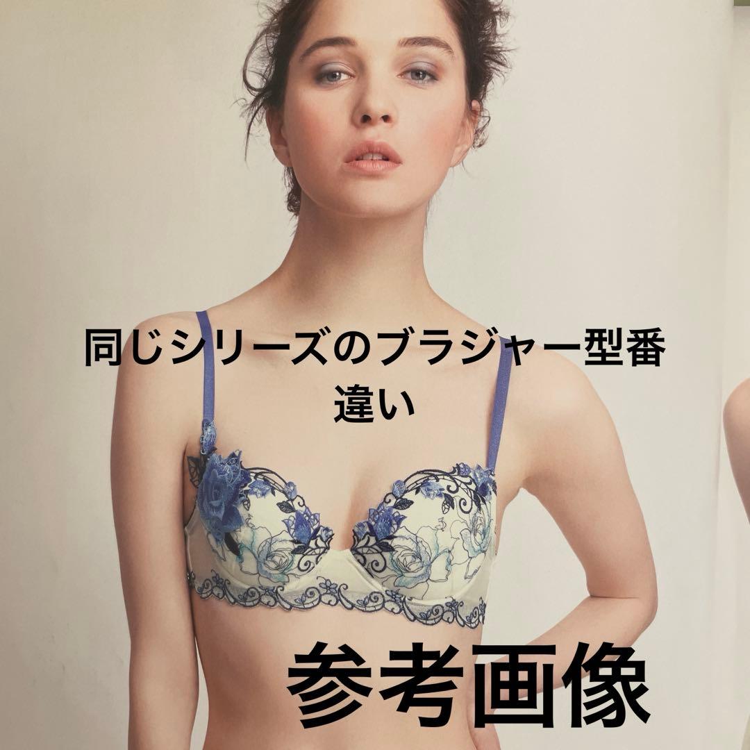 サルート E70/M 52G モネ IV