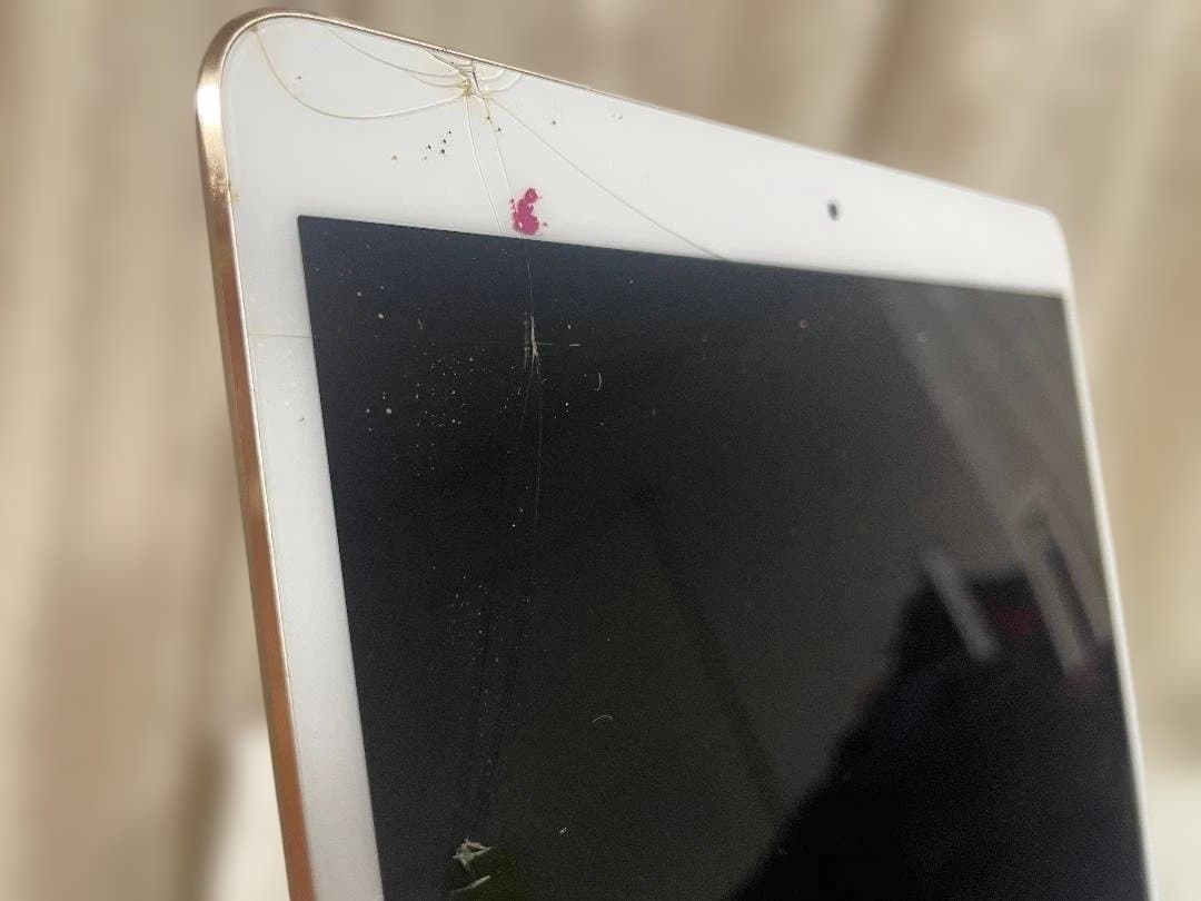 iPad Pro 10.5 256GB Cellular sim解除 ジャンク