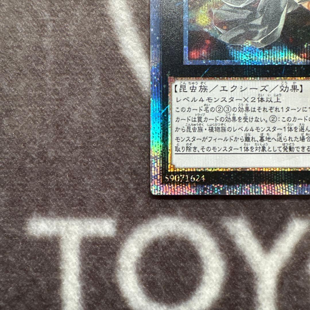 遊戯王　アロメルスの蟲惑魔　20thシークレットレア