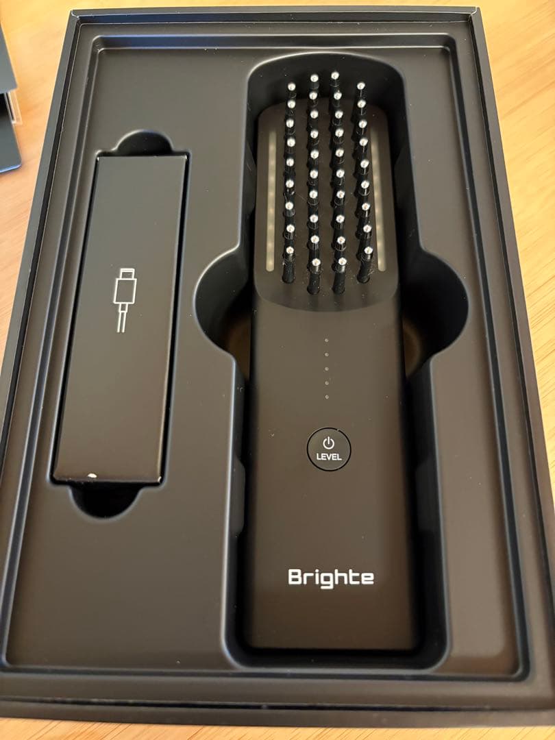 【美品】ブライトエレキブラシ ブラシ