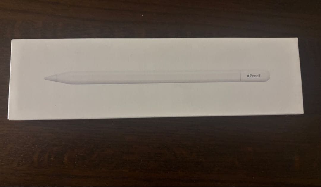 iPadアクセサリー Apple Pencil (USB_C)