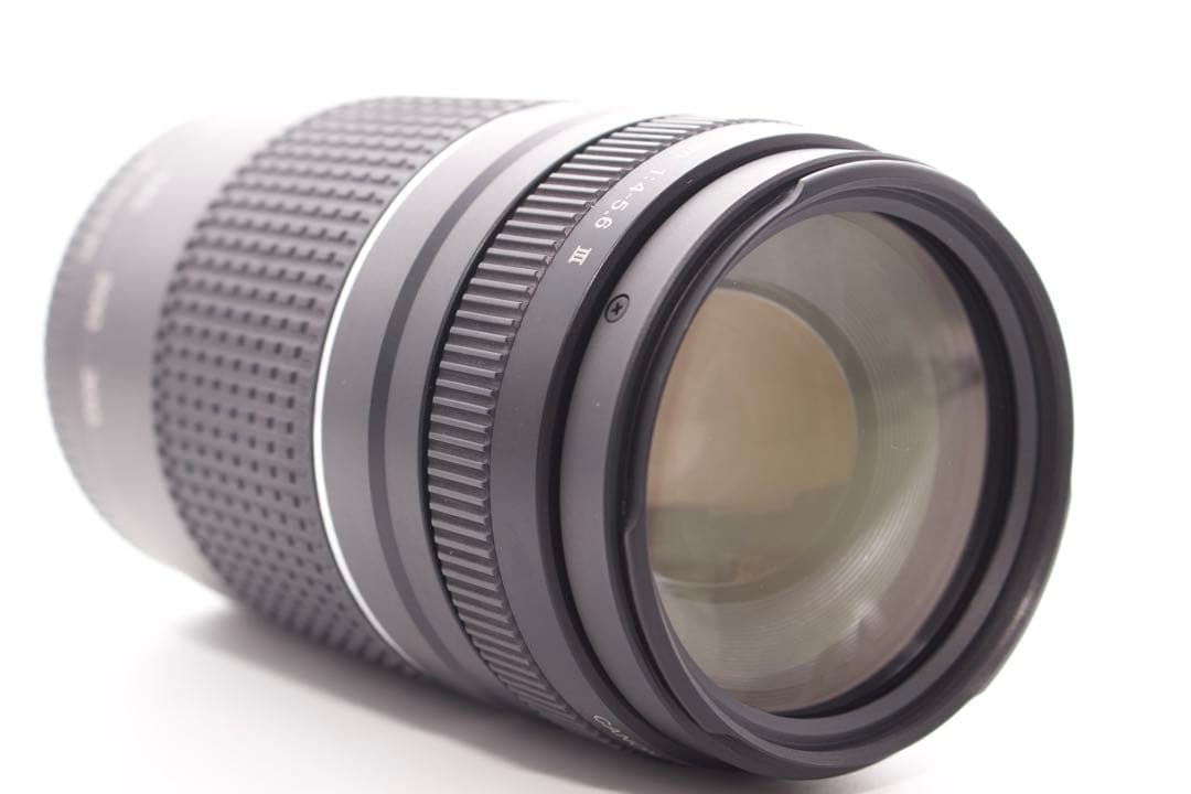 美品❣️Canon EF 75-300mm Ⅲ✨超望遠レンズ　運動会　風景