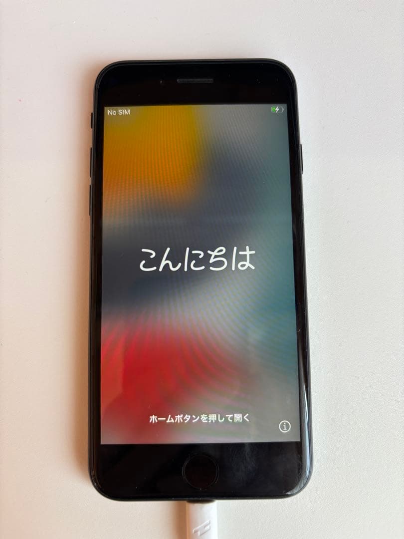 iPhone SE 第2世代 256GB 訳あり ホームボタン不良 初期化済