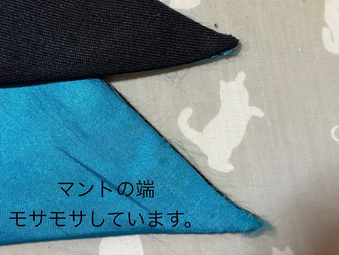 刀剣乱舞 小竜景光 戦闘衣装