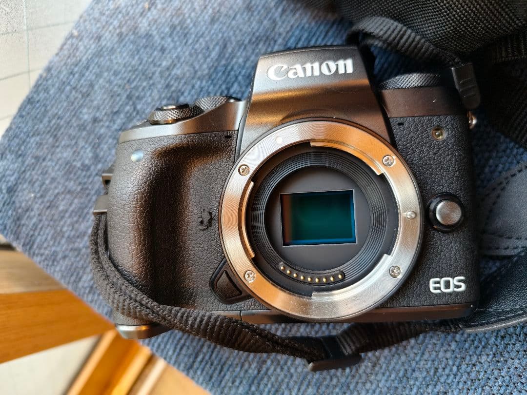 週末セール Canon EOS M5 ミラーレス一眼カメラ