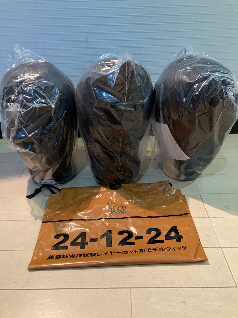 国家試験レイヤーカット用ウィッグ 3体セット未使用