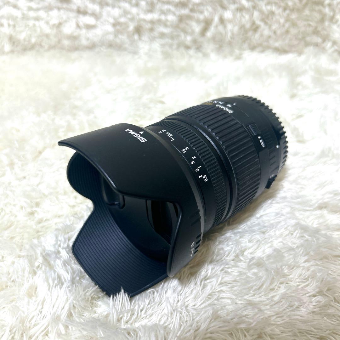 SIGMA シグマ AF 18-125mm F3.5-5.6 DC Canon用