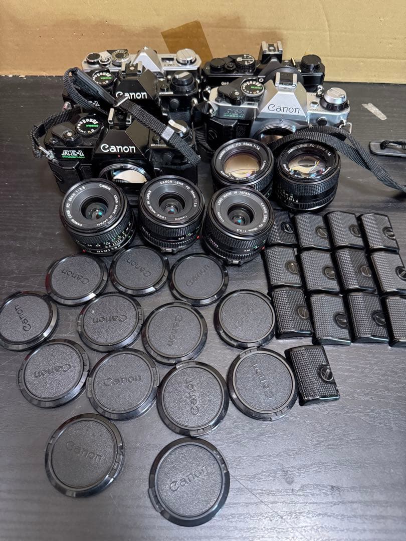 untamed_com Canon レンズ　カメラ