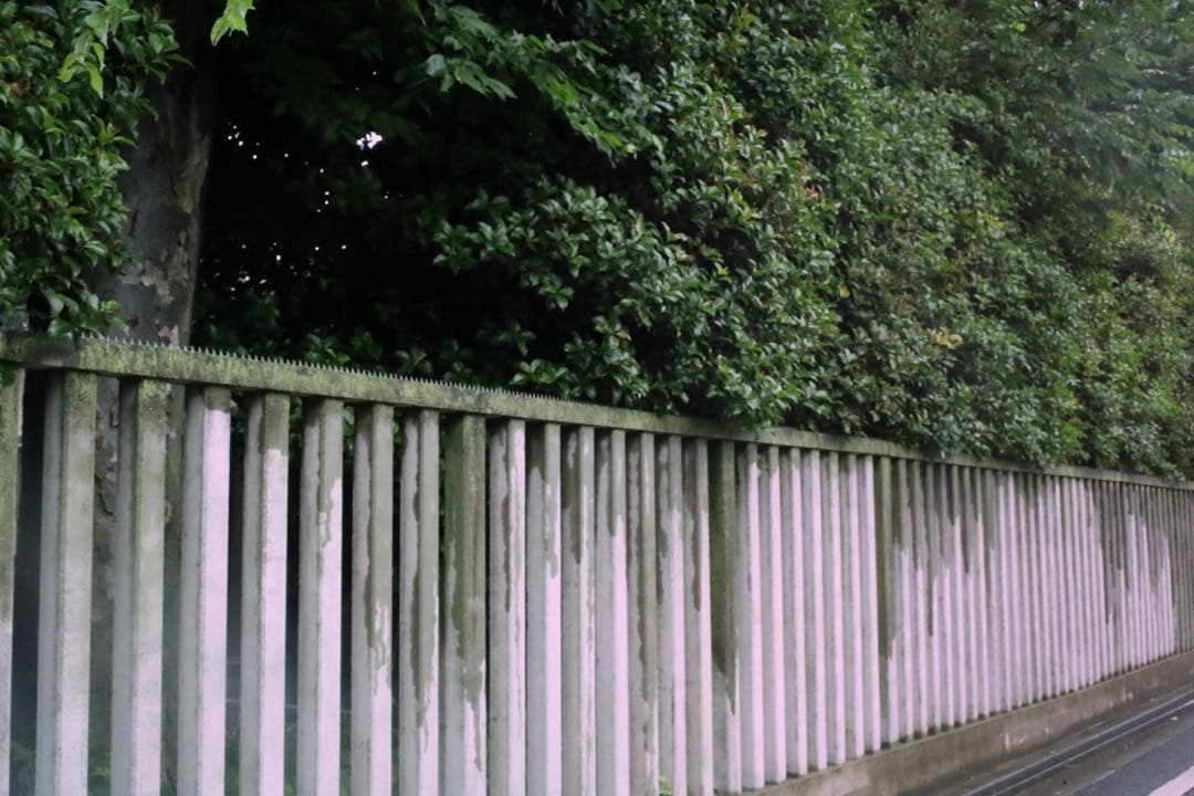 超美品 Canon EOS RP ボディ ブラック 訳あり