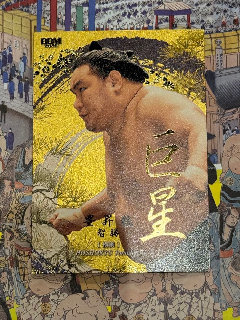 大相撲 BBM 2026 SUMO CARDS インサートカード　巨星　豊昇龍