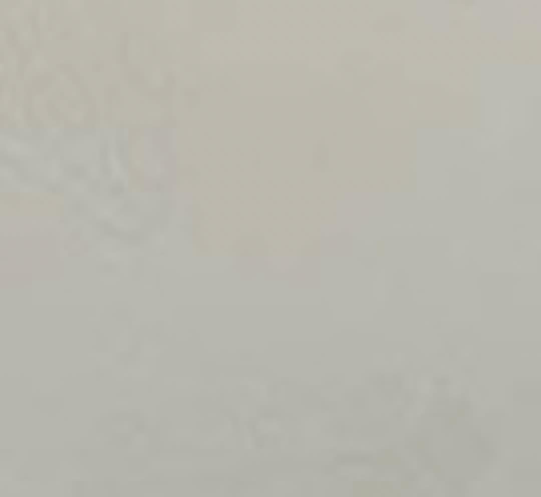 TTTT専用 折り曲げなし