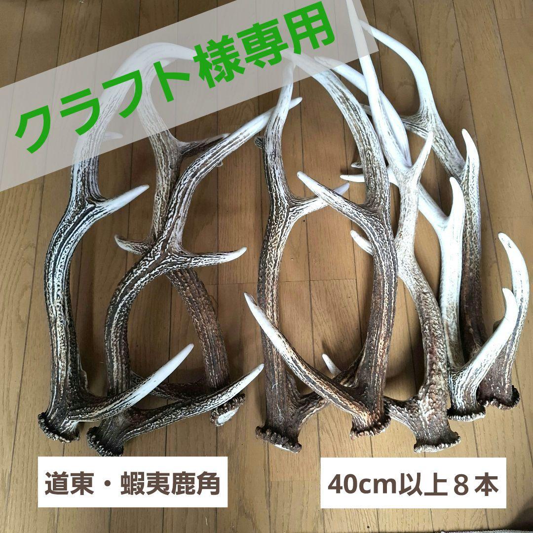 クラフト画面・蝦夷鹿角8本　道東