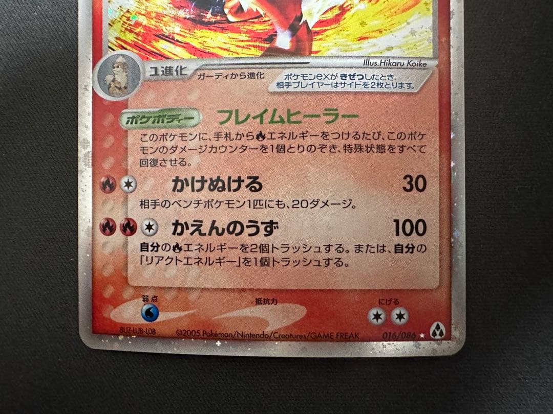 【美品】ウインディex ☆ 拡張パック まぼろしの森 016/086