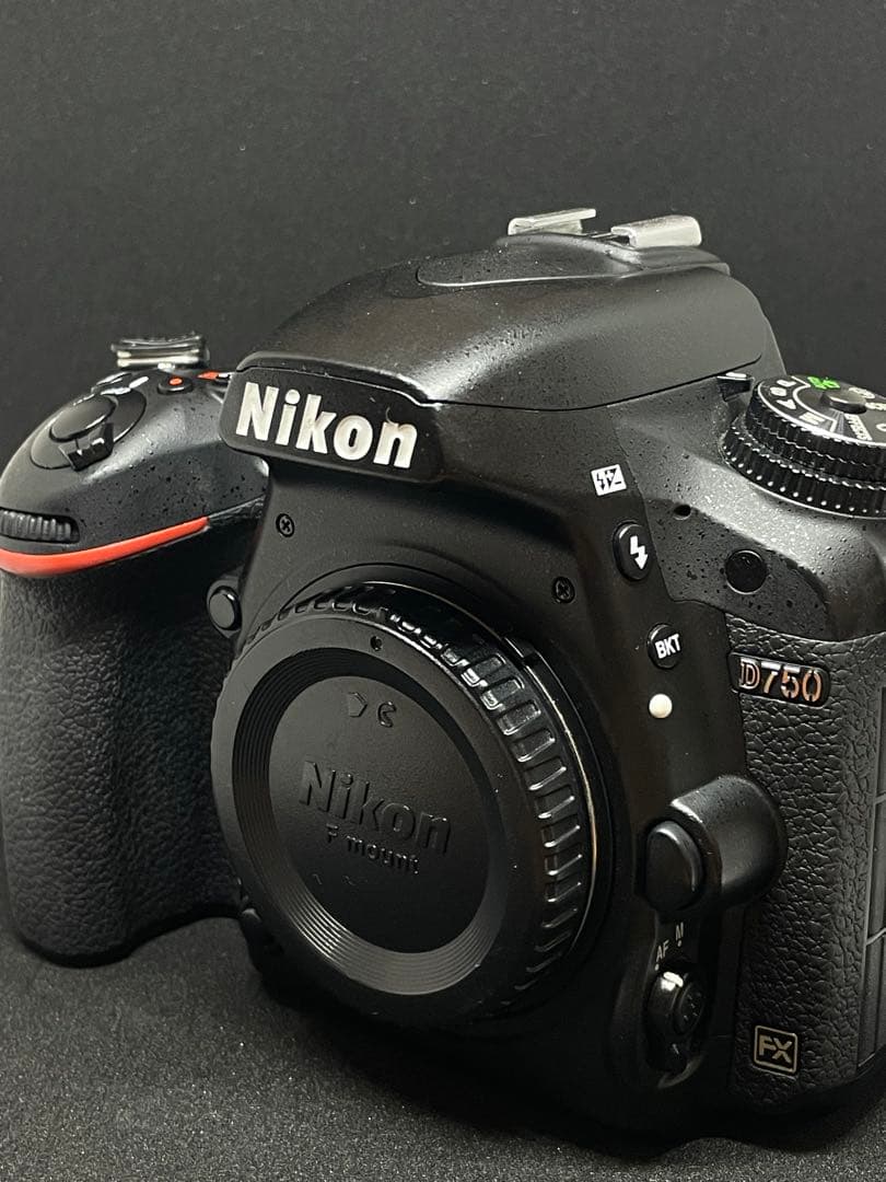 【シャッター2.3万回】ニコン Nikon D750【程度良好】