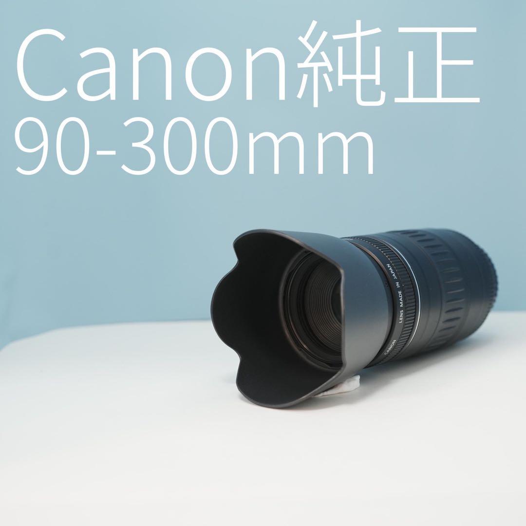 Canon純正 90-300mm 望遠レンズ a3774