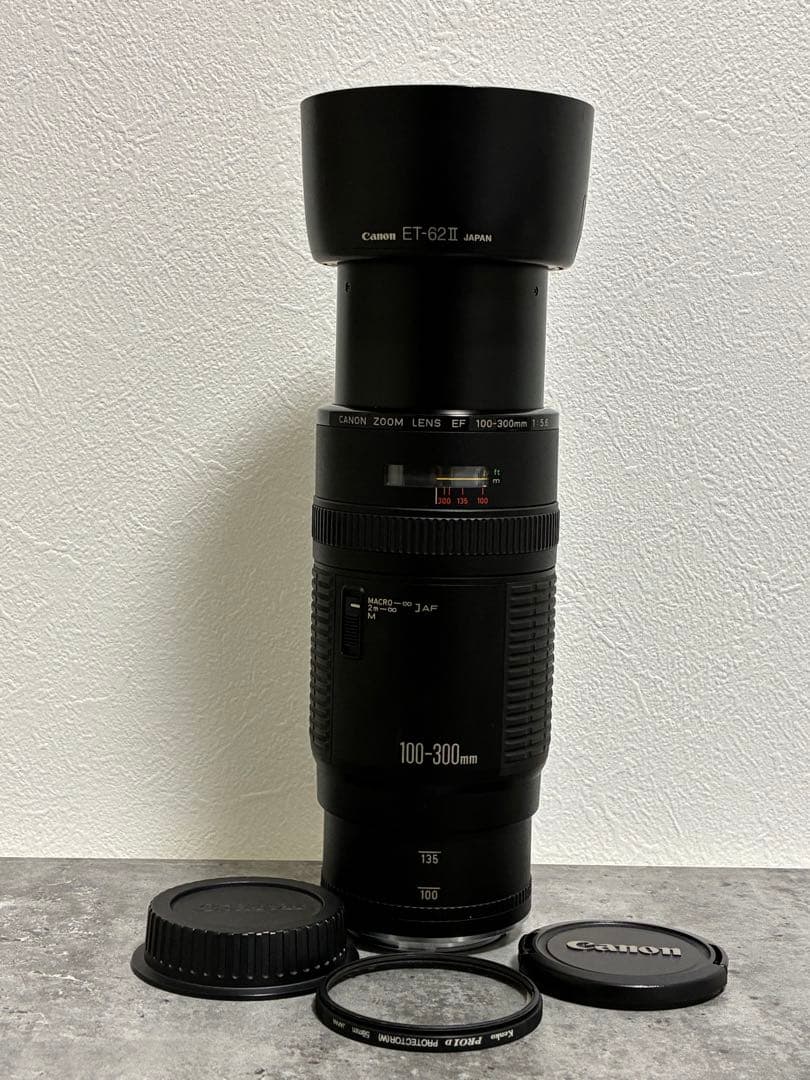 ⭐️美品⭐️キャノン Canon EF 100-300mm f/5.6 超望遠レンズ