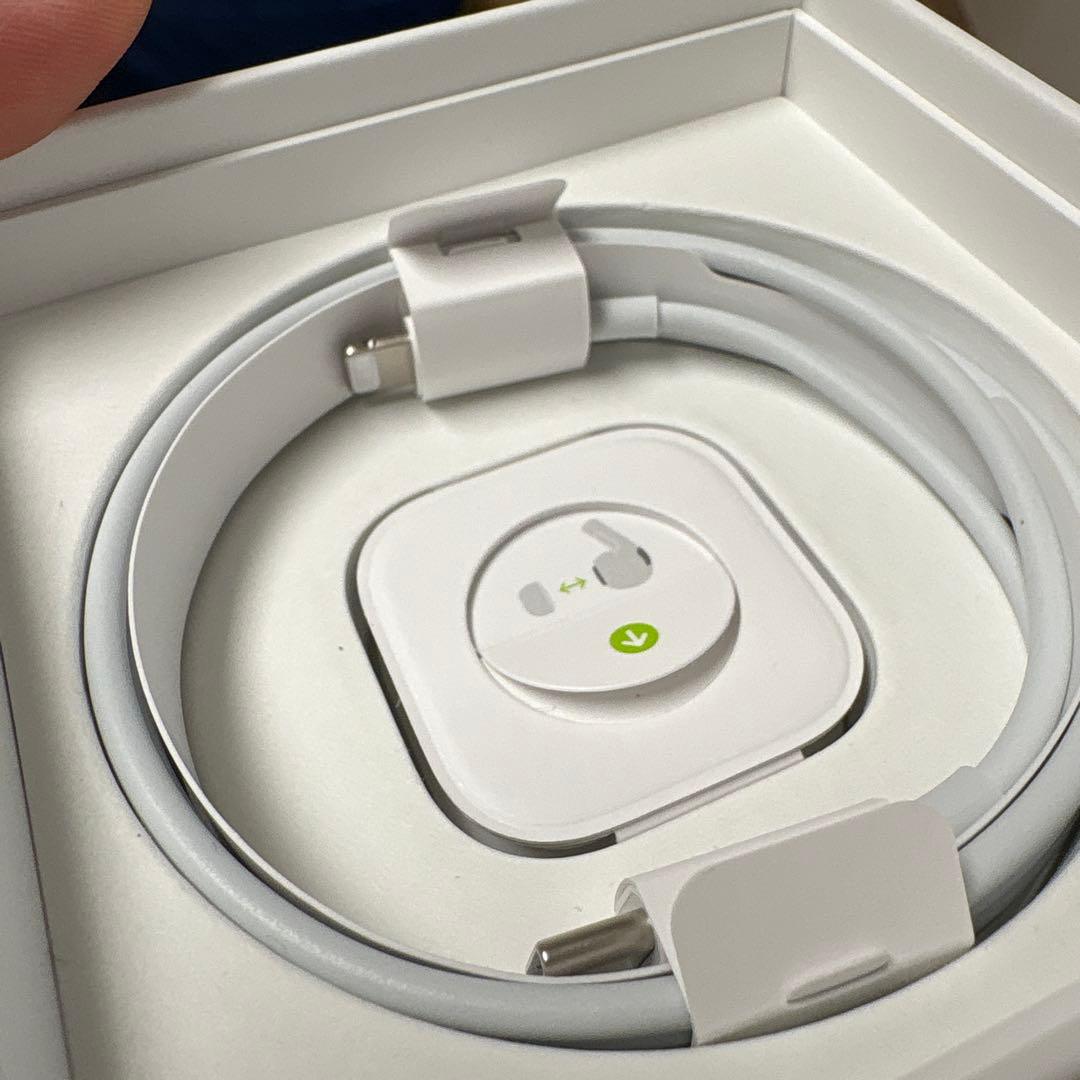 Apple AirPods Pro 【第1世代】