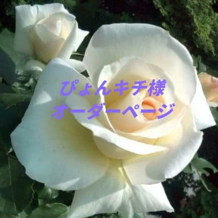 ぴょんキチページ