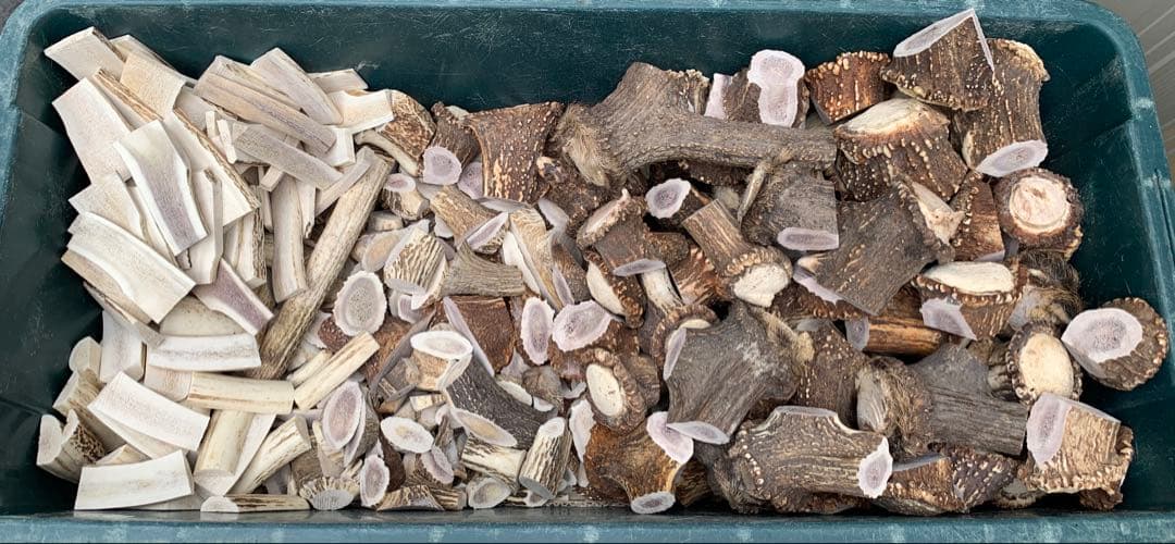 No.2119『鹿角加工材22.3kセット』鹿の角　エゾ鹿　鹿角　蝦夷鹿