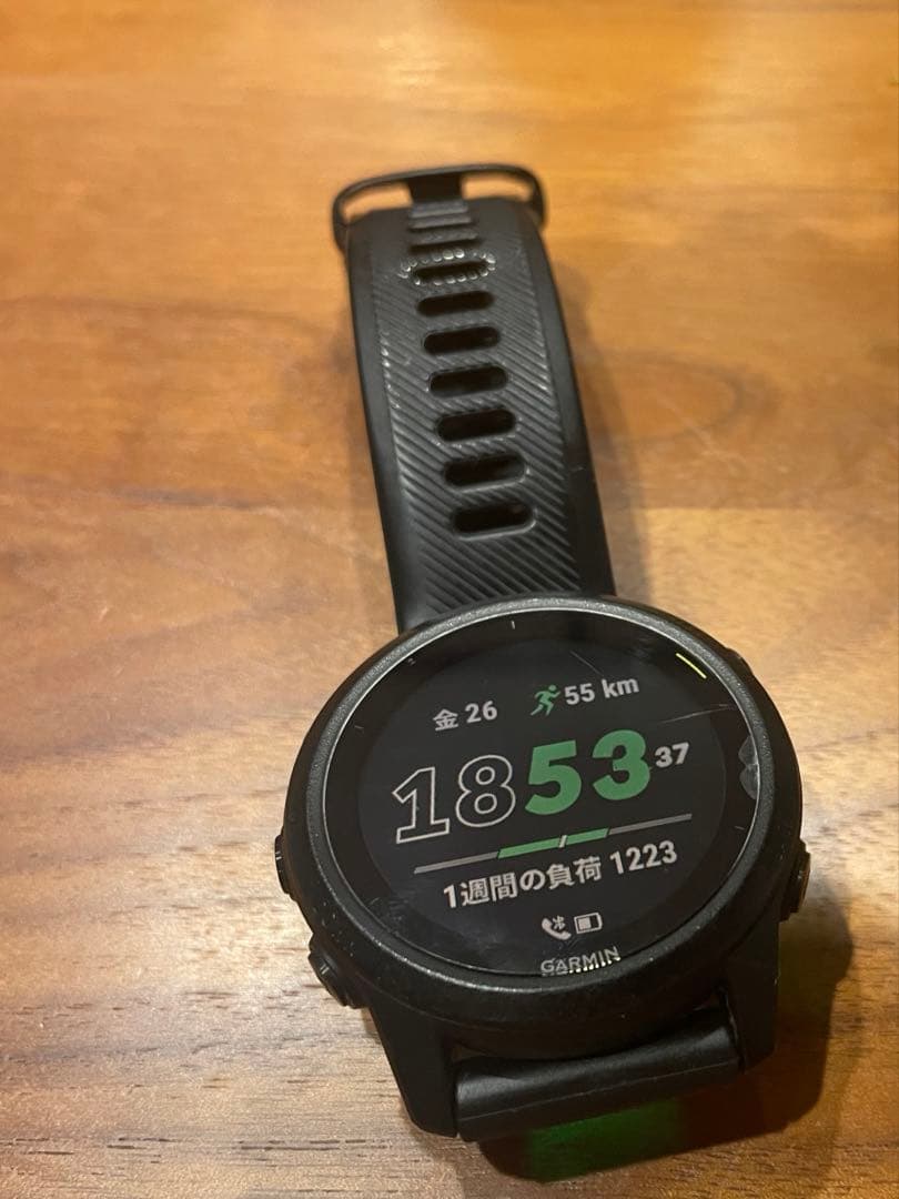 Garmin ガーミン　FOREATHLETE745