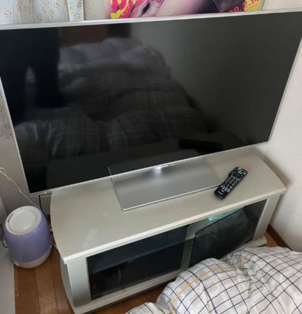 早い者勝ち！Panasonic TH-L50E60 50インチテレビシルバー枠！