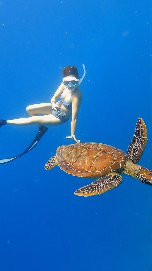 沖縄アート　アクアヒーリングアート