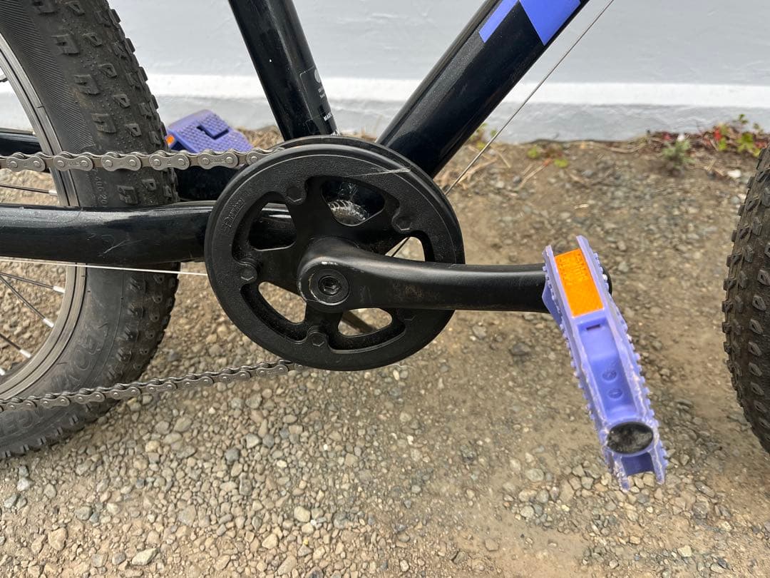 自転車本体 Precaliber 20 7-speed