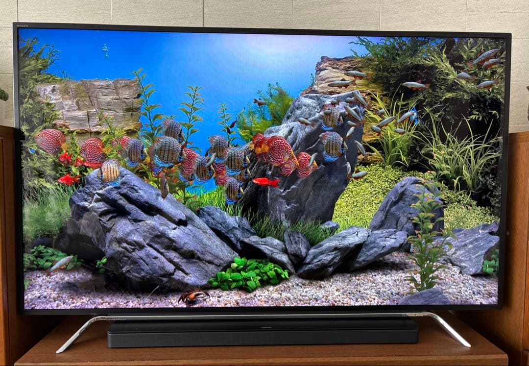 【prinの】REGZA　レグザ　58インチ　58Z20X ＋ 外付HDD