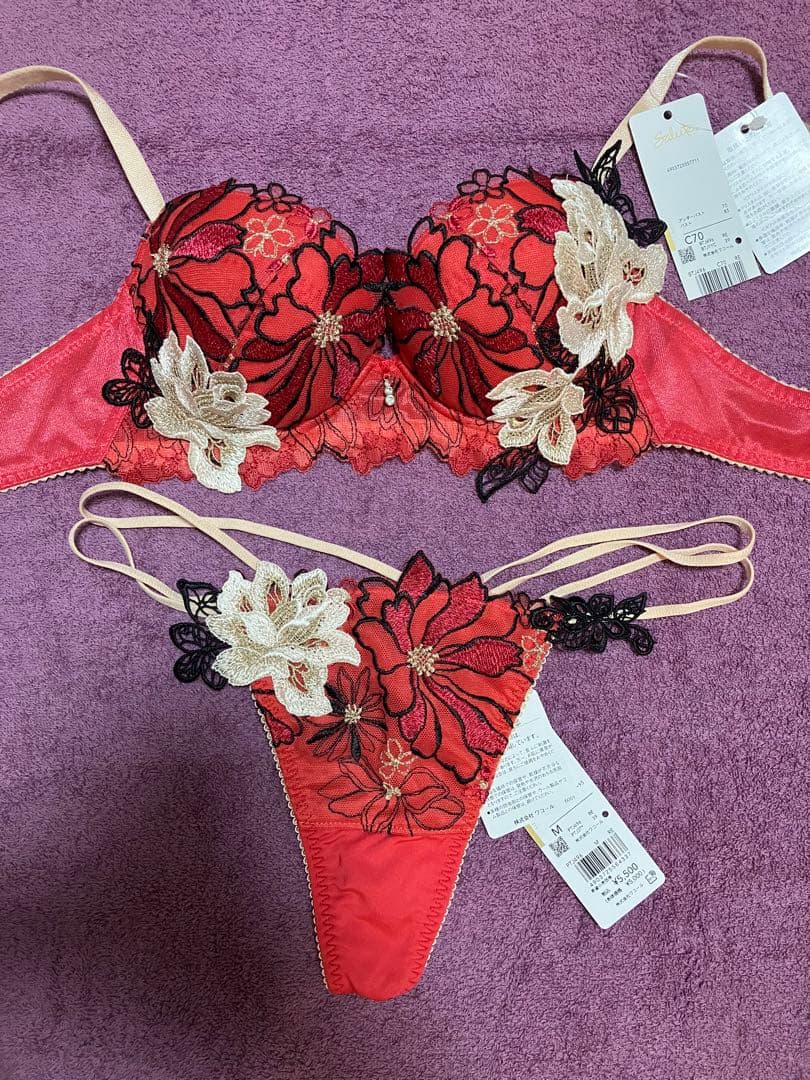 サルート C70 ブラ ソング ワコール 96