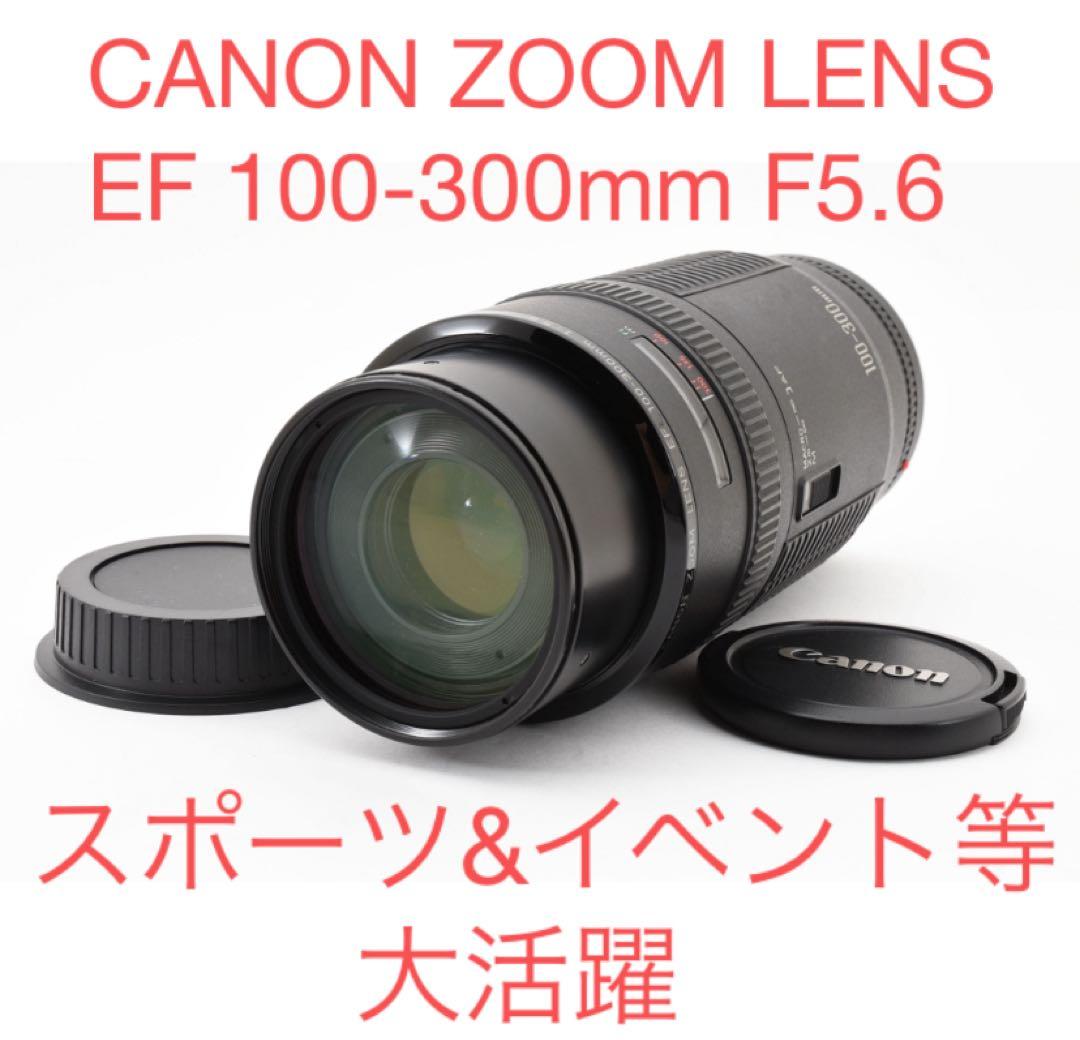 迫力300㎜☆CANON ZOOM LENS EF 100-300mm F5.6