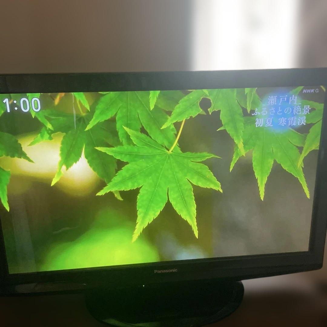 パナソニックPanasonic TH-P42S2 42インチプラズマテレビ
