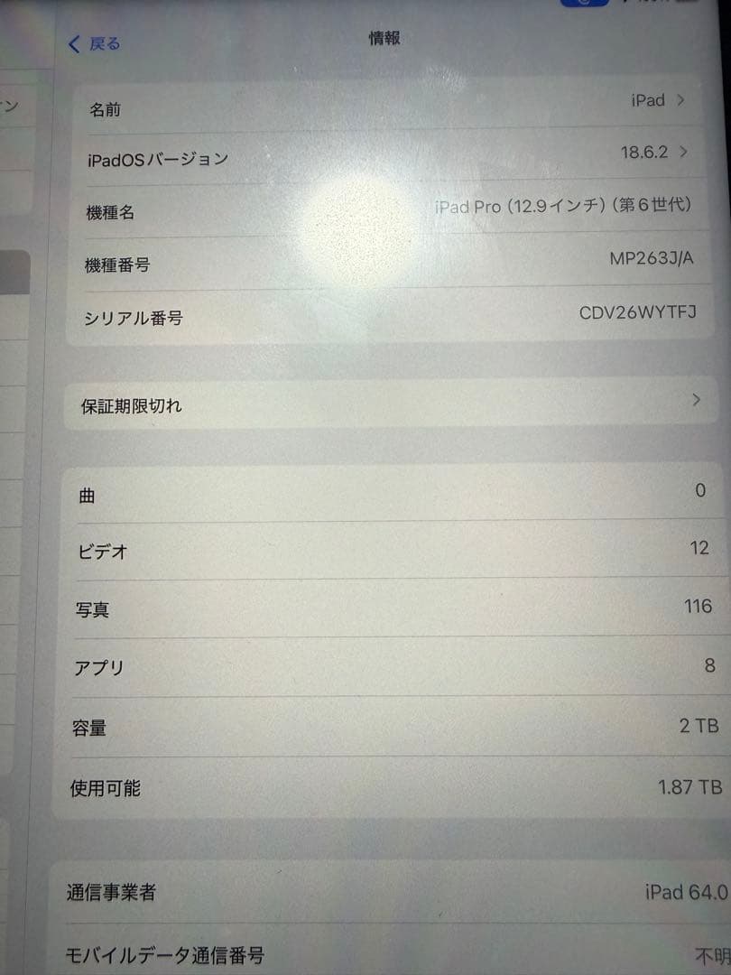 iPad Pro 12.9インチ　第6世代　2TB スペースグレイ SIMフリー