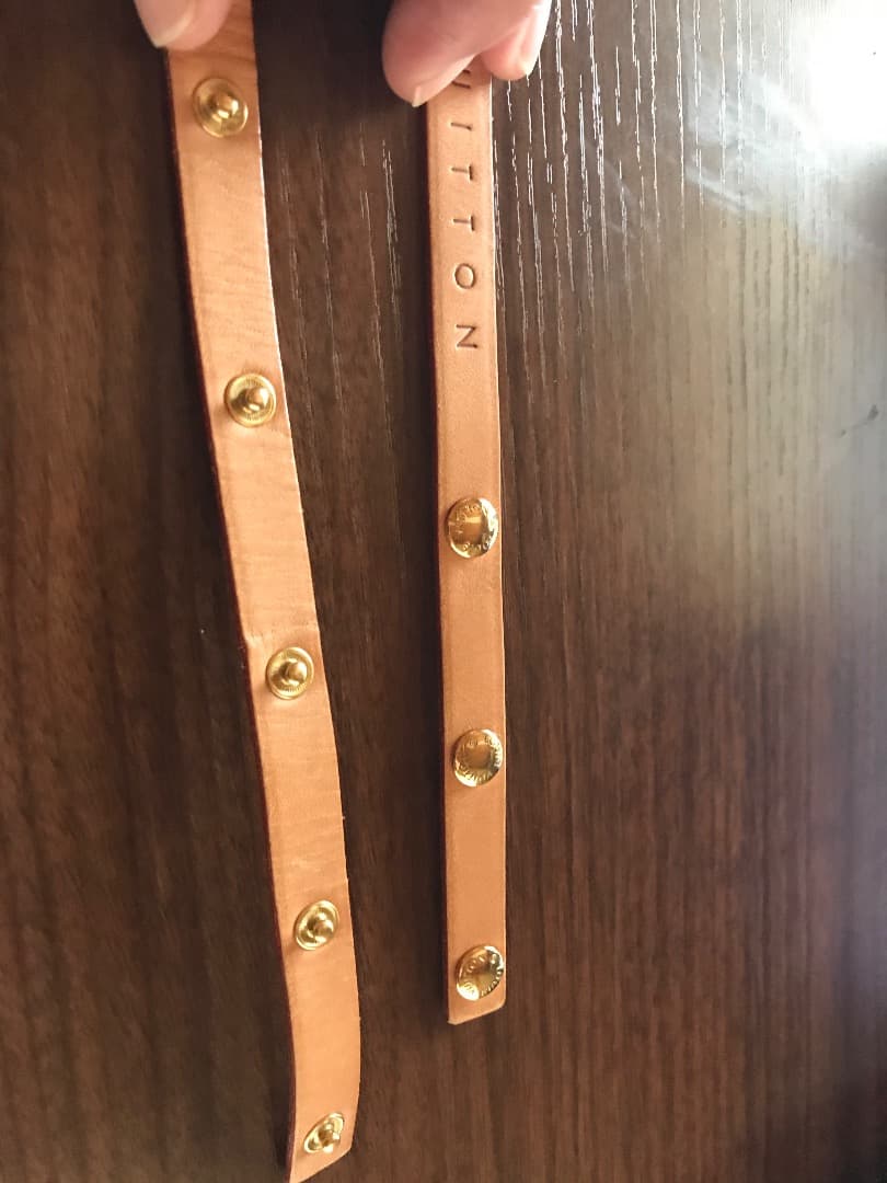 ⭐️ルイ・ヴィトン　フローランティーヌ　⭐️ウエストポーチ