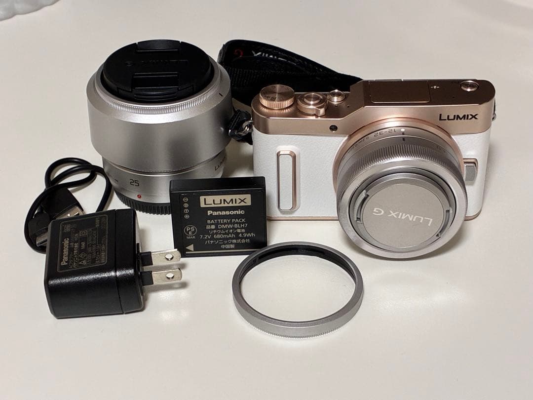 LUMIX GF10 ミラーレスカメラ　本体 付属品あり