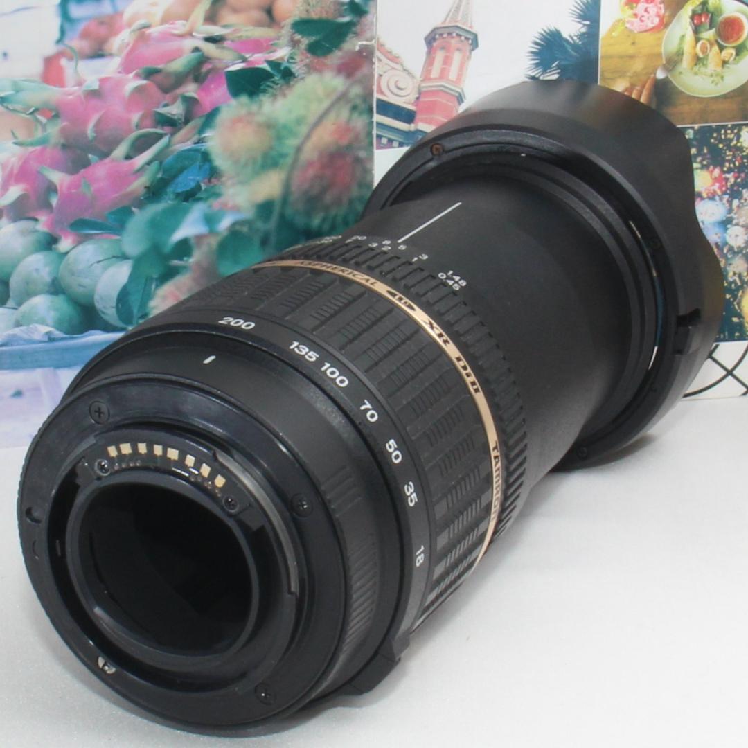 ❤️１本で近遠対応の神レンズ❤️タムロン 18-200mm ソニーaマウント用
