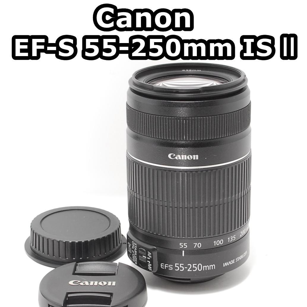 りんりのりこぱぱ ❣美しいボケ味❣EF-S 55-250mm IS II