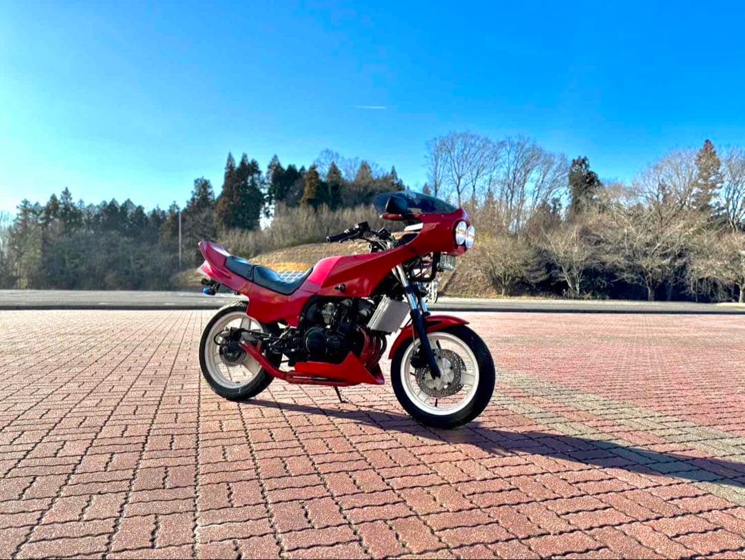 ラジエーターカバー　GF250　送料無料　かっぺオリジナル　空冷オイルクーラー風