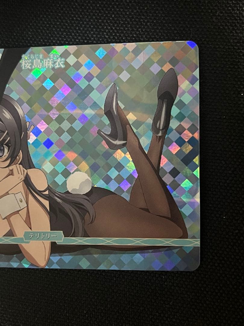 ビルディバイドブライト　 エキスパートカップ 優勝プロモ 桜島麻衣　VT