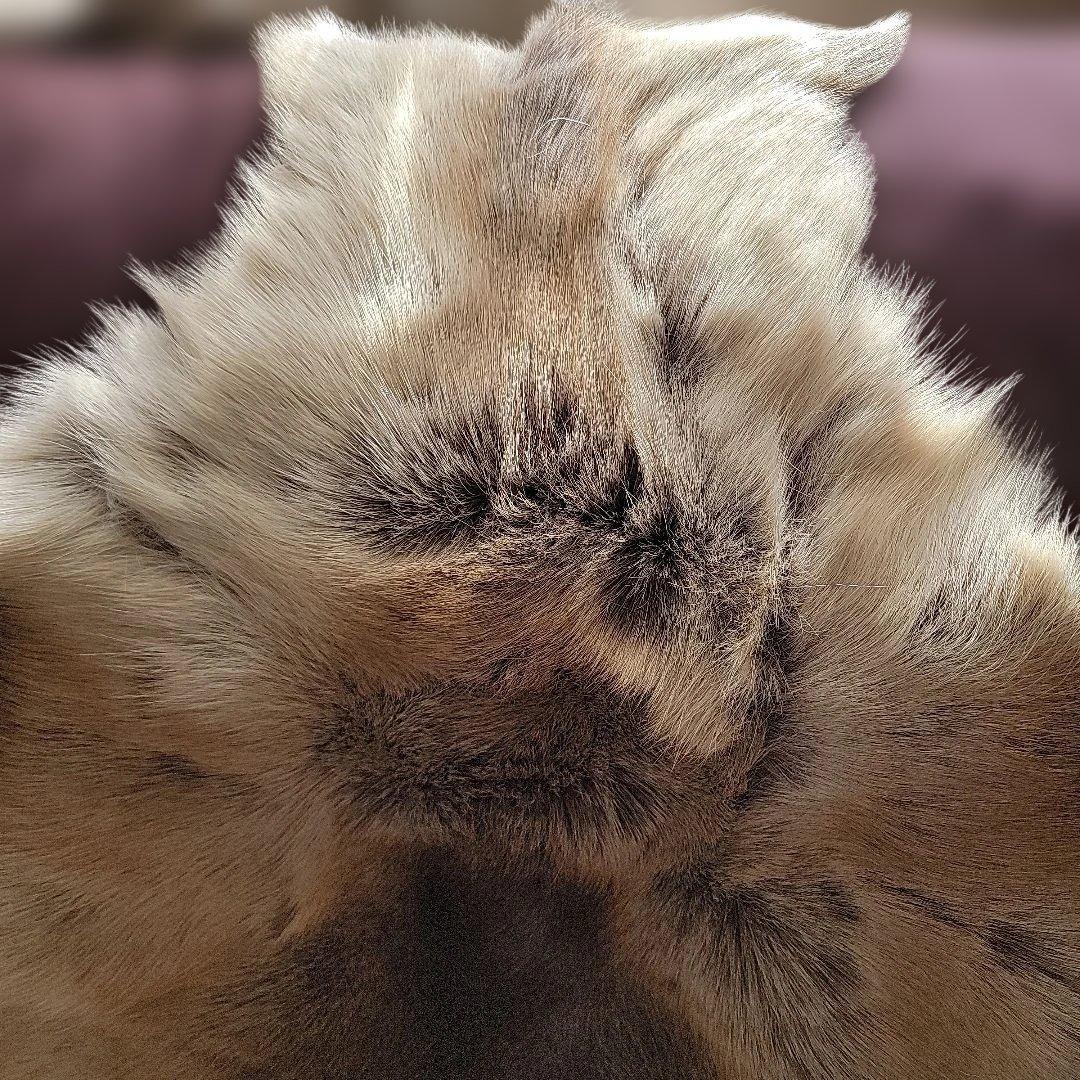 トナカイ毛皮　高級毛皮ラグ