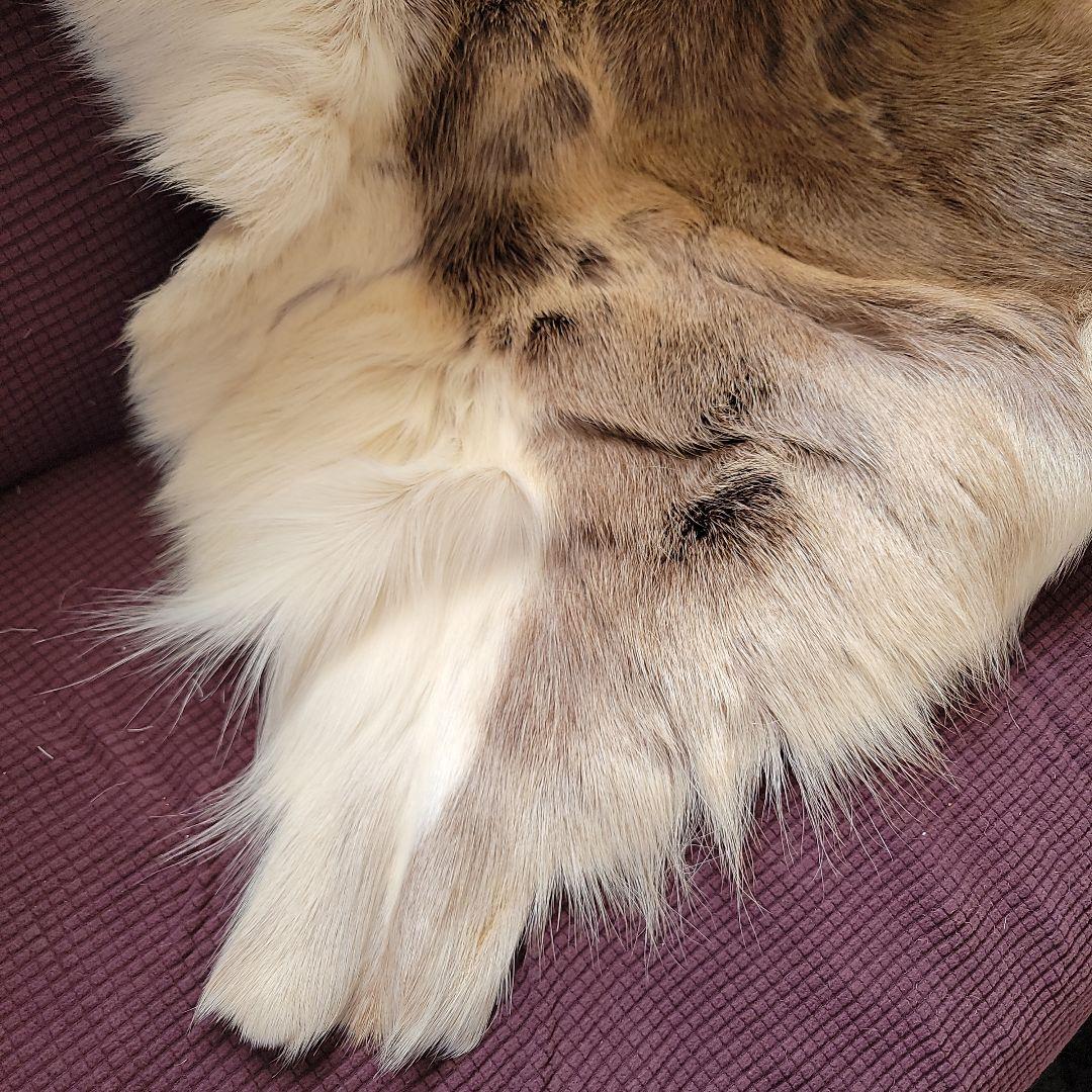 トナカイ毛皮　高級毛皮ラグ