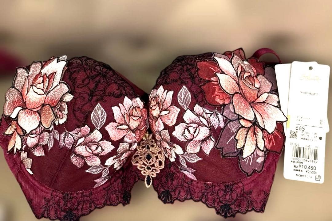 Salute サルート2025秋冬ブラジャーショーツセット E65 &Mサイズ